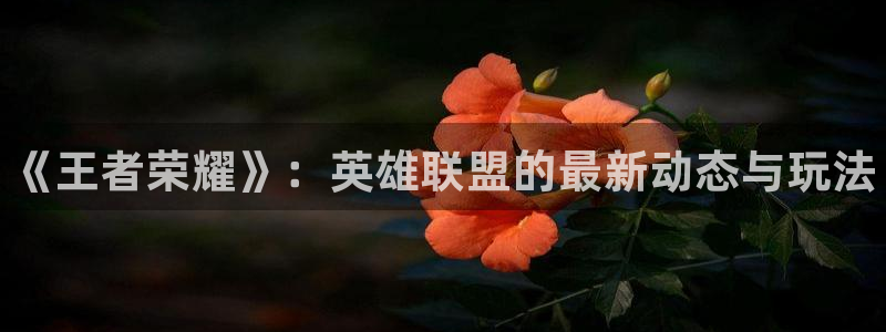 多彩娱乐官方注册登录：《王者荣耀》：英雄联盟的最新动态与玩法