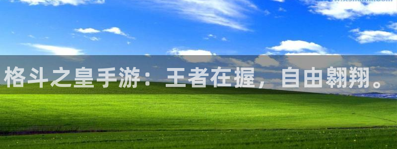 多彩娱乐登录：格斗之皇手游：王者在握，自由翱翔。