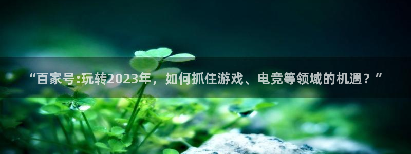 多彩娱乐平台官网入口：“百家号:玩转2023年，如何抓住游戏
