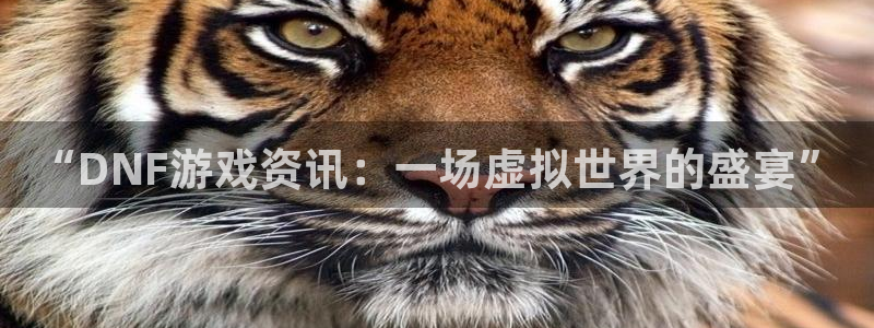多彩娱乐4开户：“DNF游戏资讯：一场虚拟世界的盛宴”