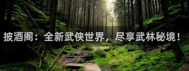 多彩娱乐2首页登录：披酒阁：全新武侠世界，尽享武林秘境！