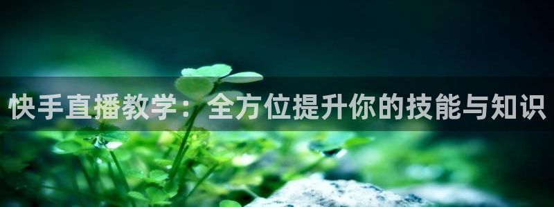 蓝鲸app足球直播